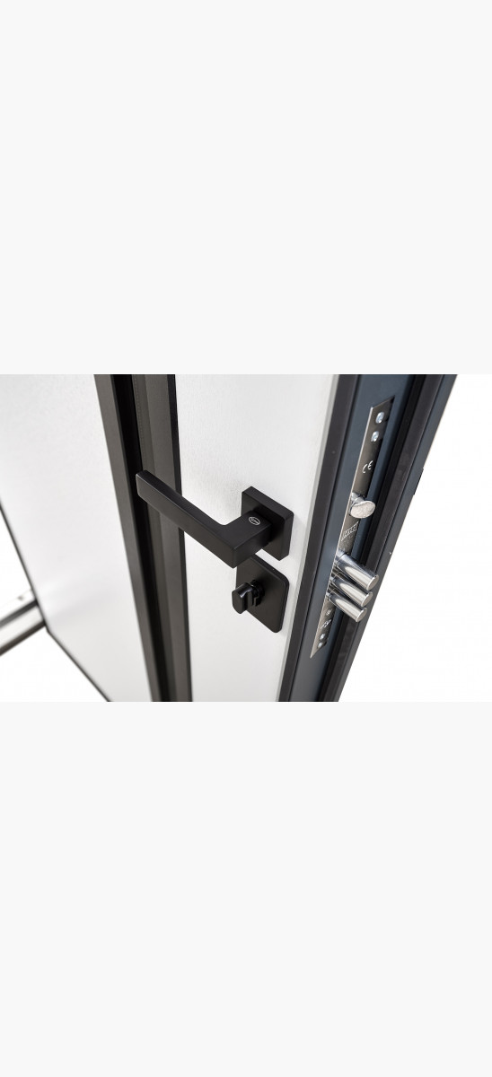 Вхідні двері Abwehr модель Nordi Glass комплектація Defender