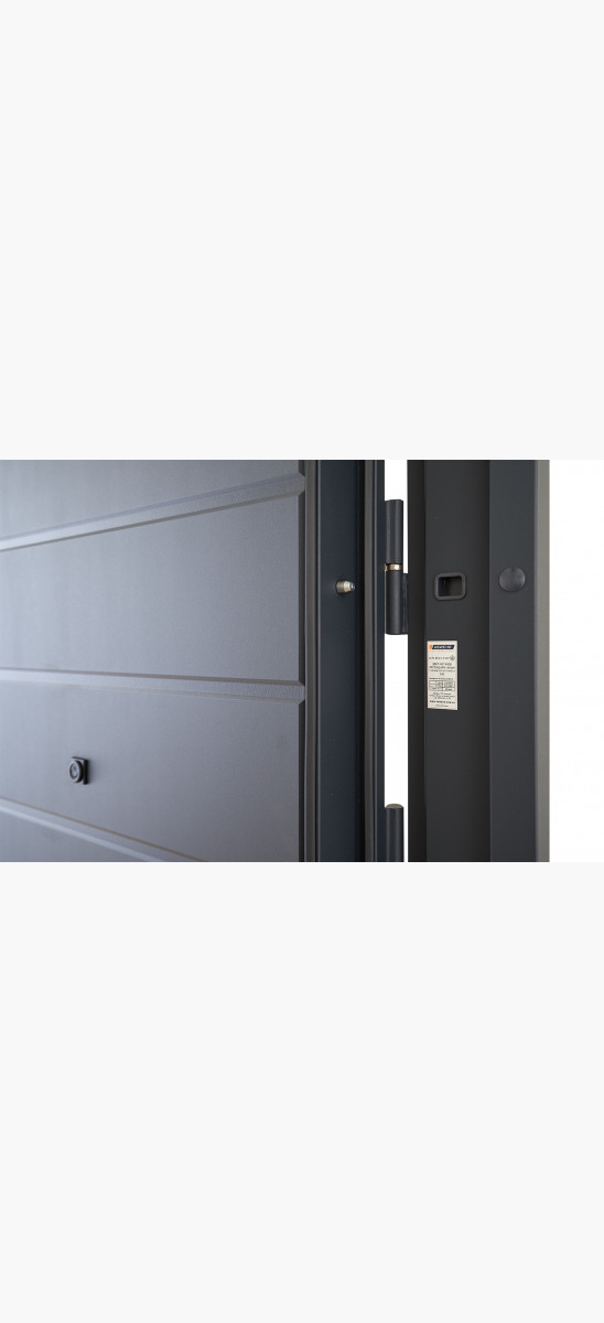 Вхідні двері Abwehr  модель Solid комплектація Defender